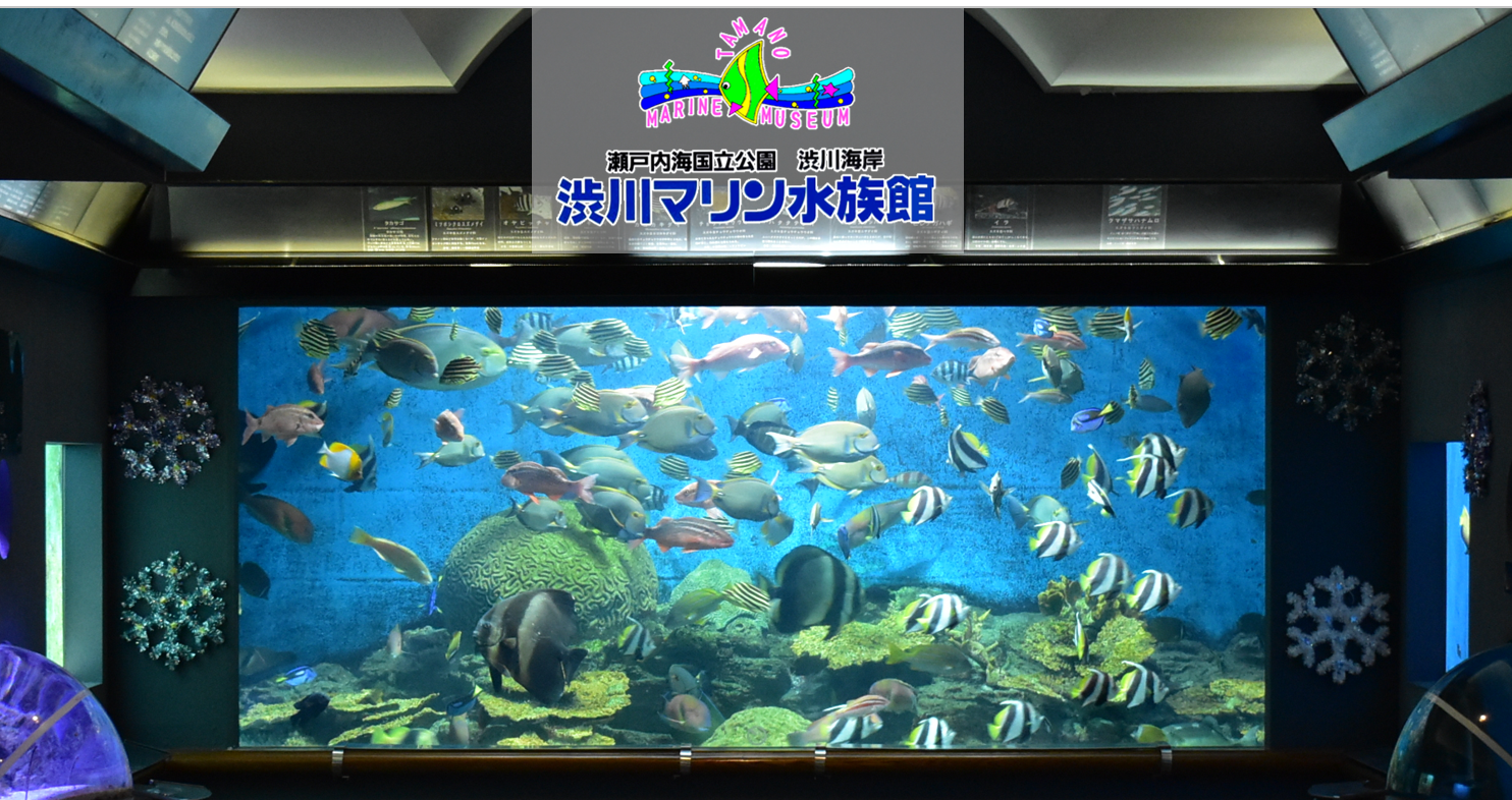 渋川マリン水族館(トップ)