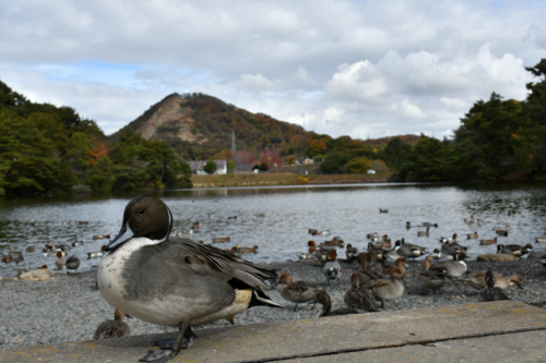 深山公園