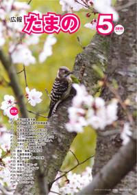 平成22年5月号の画像