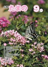平成22年9月号の画像