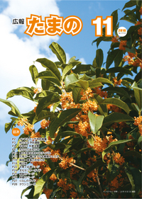 平成22年11月号の画像