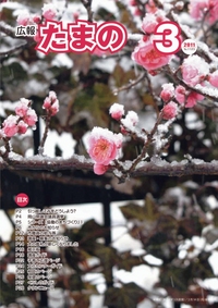 平成23年3月号の画像