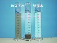 流入水と処理水 流入水と処理水