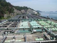 藤井海岸のトンネルを出てすぐのところにあります。敷地は約3ha。の画像