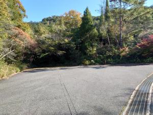 公園南入口近くの駐車場2