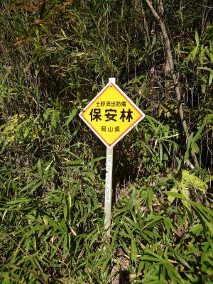 看板6