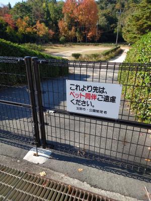 看板11