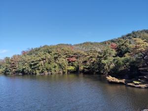 親水広場タイズ池2