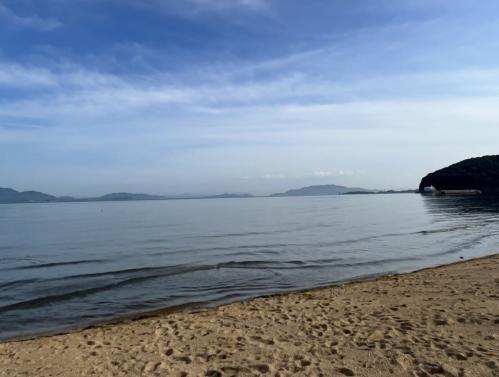 海