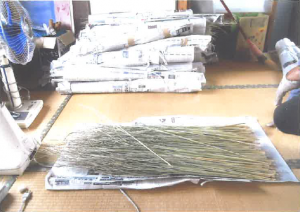 新聞紙