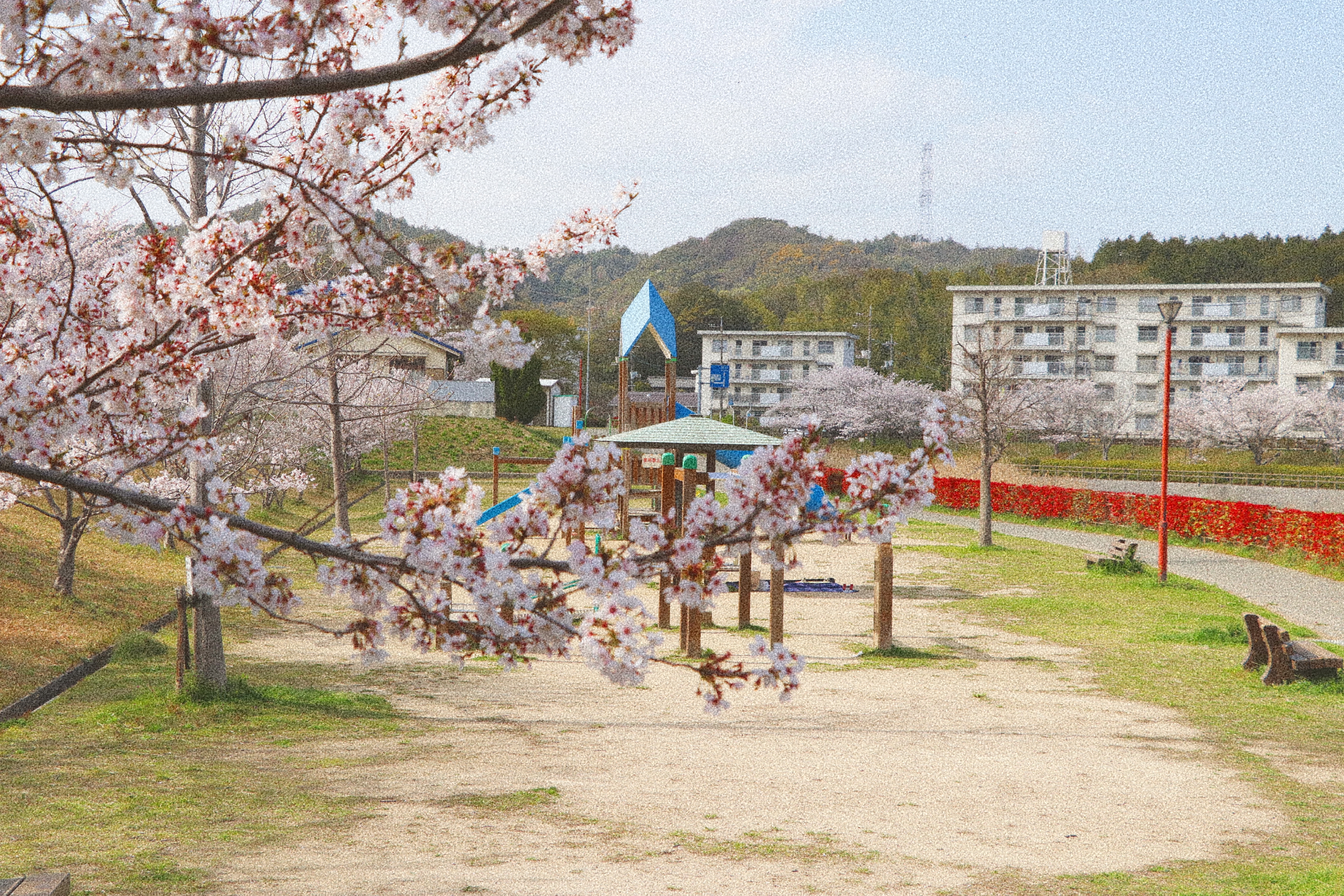 玉原親水公園