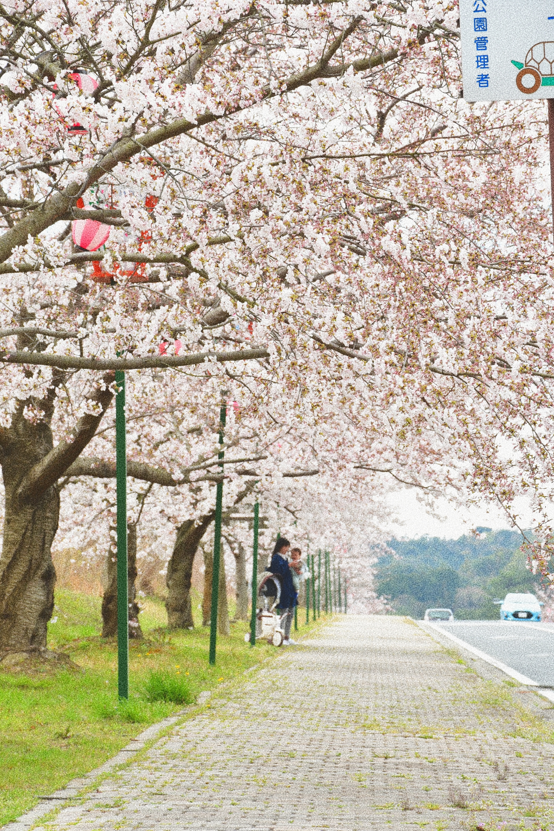 深山公園