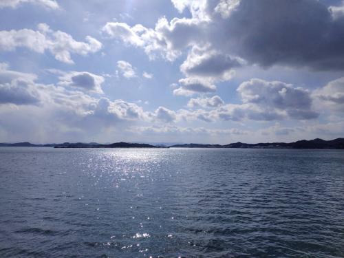 大藪の海