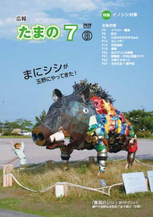 広報たまの7月号 表紙